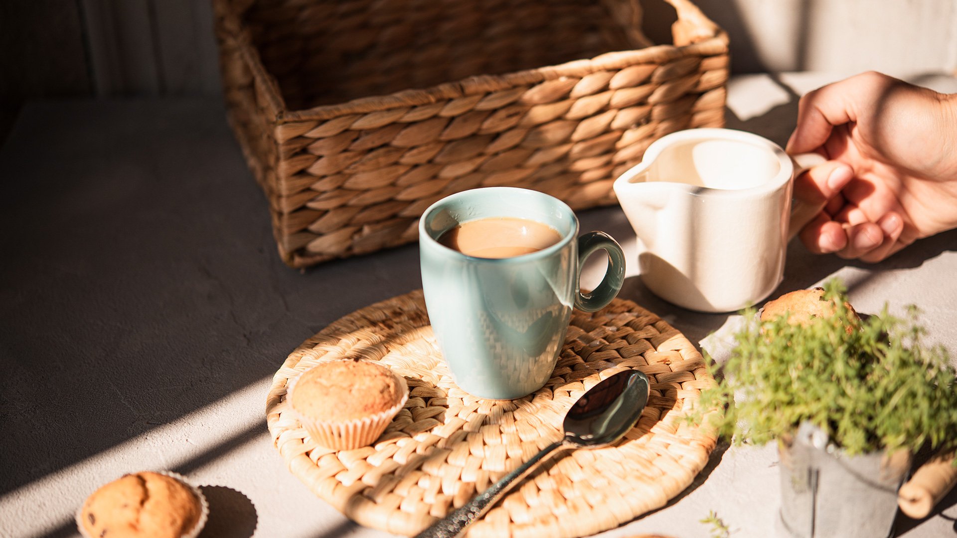 It's-indoor-picnic-time