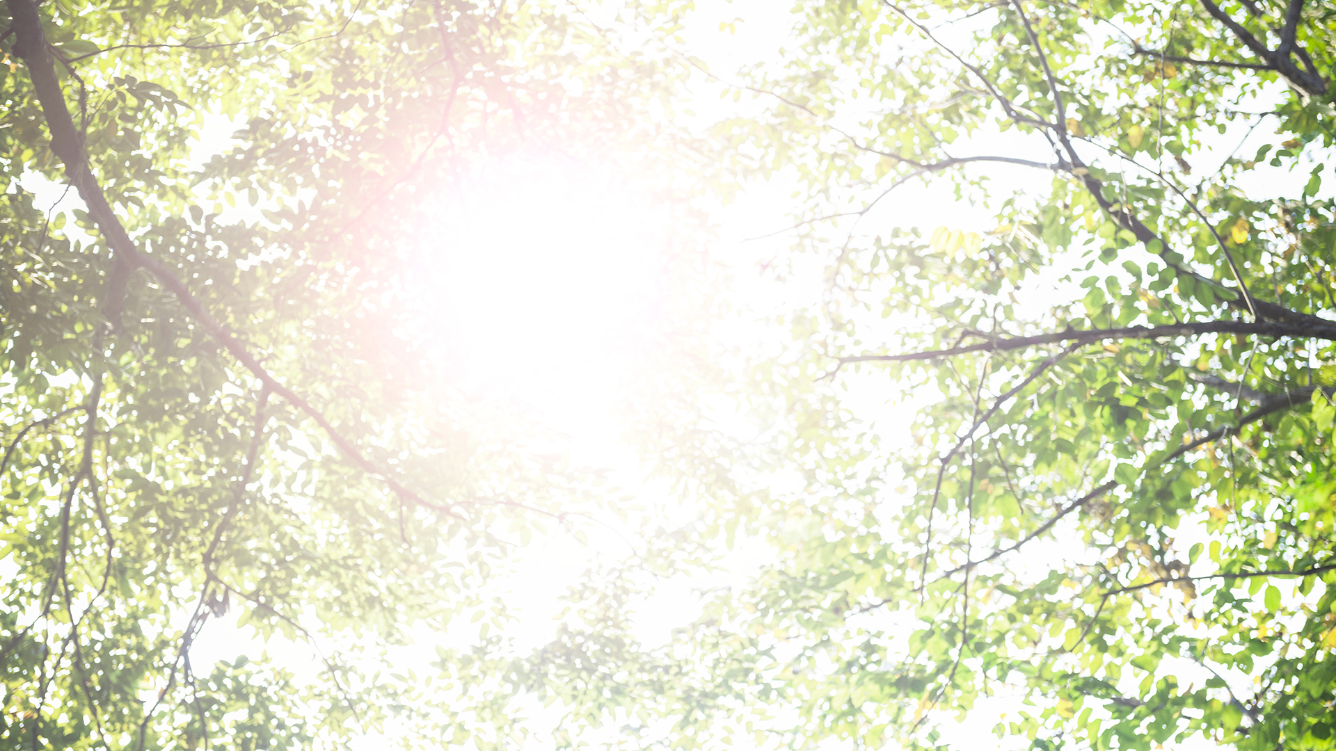 Soaking-Up-the-Sunshine!