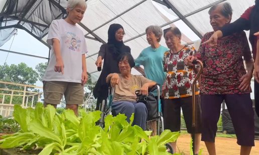 A-Stroll-Through-Nature--FCC-Residents-Discover-the-Beauty-of-Our-Farm-2