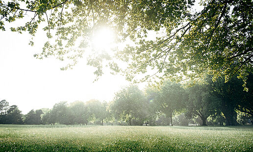 Outdoor-Exercise-at-FCC-Family-Care-Centre