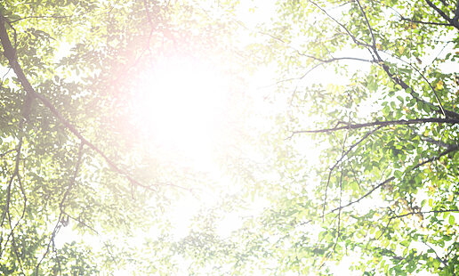 Soaking-Up-the-Sunshine!