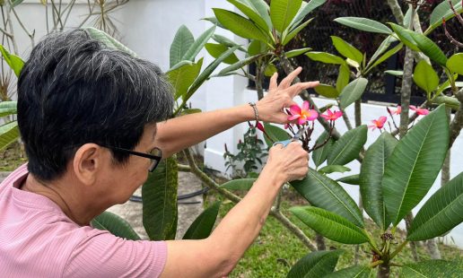 The-Benefits-of-Gardening-for-Seniors